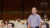 Thuê tư vấn nước ngoài để có đánh giá khách quan, minh bạch về Tân Sơn Nhất ảnh 4 Thuê tư vấn nước ngoài để có đánh giá khách quan, minh bạch về Tân Sơn Nhất ảnh 4