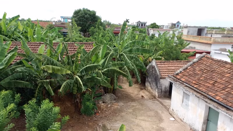 Cấp sổ đỏ trái pháp luật, huyện đề nghị hủy, tòa nói chỉ cần… sửa (!?) ảnh 2