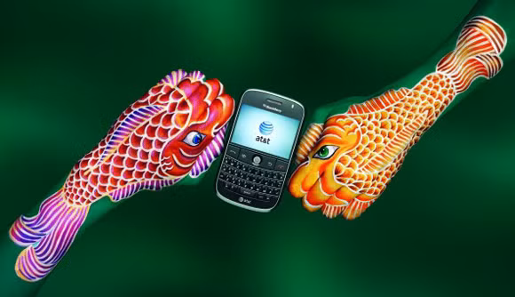 Cá chép của đất nước Nhật Bản.