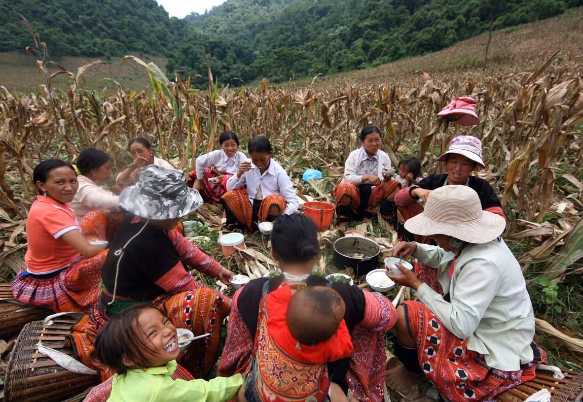 Một bữa cơm trên nương ở Lóng Sập (Mộc Châu – Sơn La)