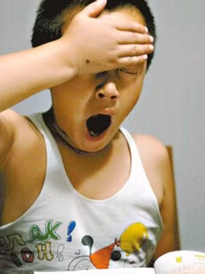 Bài tập, bài tập và…bài tập! Thế mới có câu chuyện cười ra nước mắt khi một cậu học sinh sắp tốt nghiệp phổ thông mà không phân biệt nổi đâu là gà trống, đâu là gà mái.