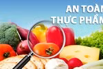 Tăng cường trách nhiệm quản lý Nhà nước về an toàn thực phẩm