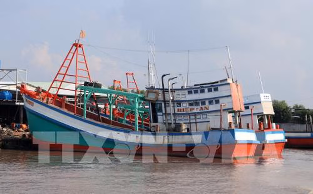 Ngưng hiệu lực một số điều của Nghị định 26/2019/NĐ-CP ảnh 1