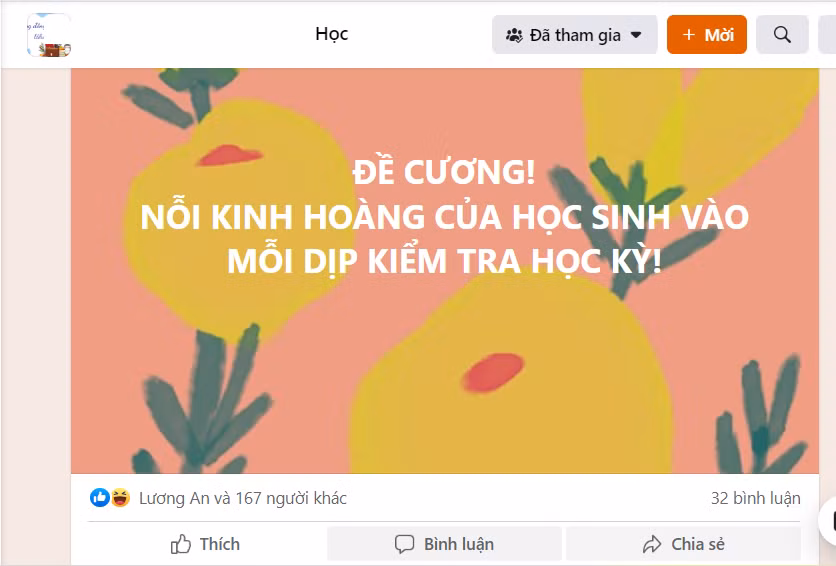 Ảnh chụp màn hình chia sẻ của phụ huynh trên mạng xã hội - Ảnh LM