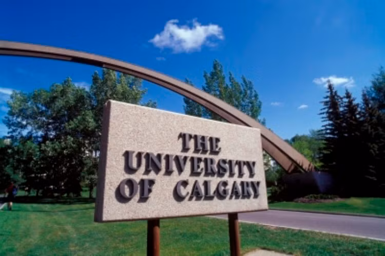 10. Trường đại học Calgary là trường đại học nghiên cứu được thành lập năm 1966 tại Calgary, Alberta, Canada (một thành phố sạch đẹp và thân thiện). Khuôn viên chính của trường nằm ở phía tây bắc của Calgary, với 50.000m2 và đang dần hoàn thiện cơ sở hạ tầng để có thể đáp ứng được số lượng lớn sinh viên và các hoạt động nghiên cứu 10. Trường đại học Calgary là trường đại học nghiên cứu được thành lập năm 1966 tại Calgary, Alberta, Canada (một thành phố sạch đẹp và thân thiện). Khuôn viên chính của trường nằm ở phía tây bắc của Calgary, với 50.000m2 và đang dần hoàn thiện cơ sở hạ tầng để có thể đáp ứng được số lượng lớn sinh viên và các hoạt động nghiên cứu