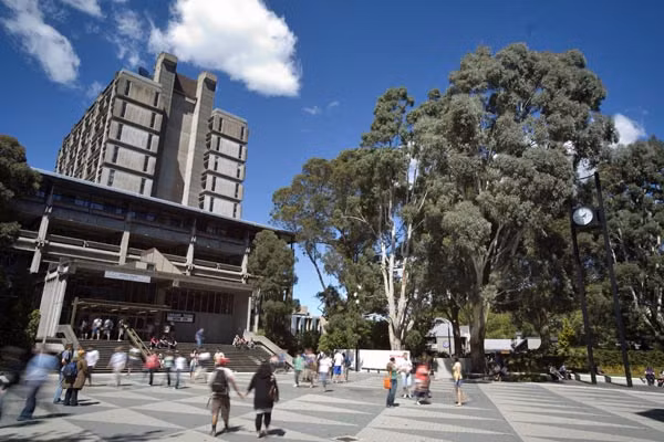 Đại Học Canterbury cấp bằng trong các ngành xã hội (Khoa Học Xã Hội và Nhân Văn), Thương Mại (Kinh Doanh và Kinh Tế), Giáo Dục, Kỹ Sư, Mỹ Thuật, Lâm Nghiệp, Luật, Âm Nhạc, Khoa Học, Công Tác Xã Hội, Liệu Pháp Tiếng Nói và Ngôn Ngữ, Huấn Luyện Viên Thể Thao, Dạy và Học. Đại Học Canterbury cấp bằng trong các ngành xã hội (Khoa Học Xã Hội và Nhân Văn), Thương Mại (Kinh Doanh và Kinh Tế), Giáo Dục, Kỹ Sư, Mỹ Thuật, Lâm Nghiệp, Luật, Âm Nhạc, Khoa Học, Công Tác Xã Hội, Liệu Pháp Tiếng Nói và Ngôn Ngữ, Huấn Luyện Viên Thể Thao, Dạy và Học.