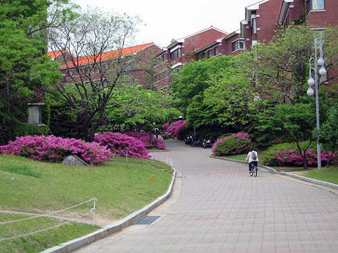 Còn gì thích hơn khi sau những giờ học tập căng thẳng, chúng ta được dạo bước trên những con dốc thoai thoải xanh mát bóng cây (tuyệt nhất là vào mùa thu các bạn ạ!), hay ngồi hóng mát ở những dãy ghế trong khuôn viên xanh mát của nhà trường, chẳng khác gì những cảnh trong phim đấy. Ảnh: Ký túc xá với những con dốc thoai thoải giống phim Hàn Quốc