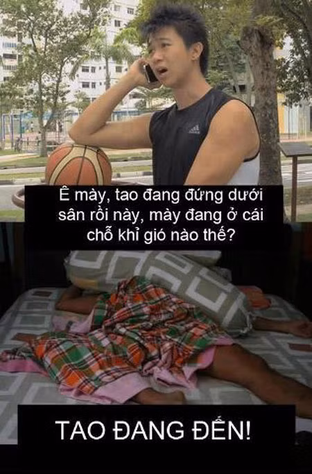 Đâu là sự thật? Đâu là sự thật?