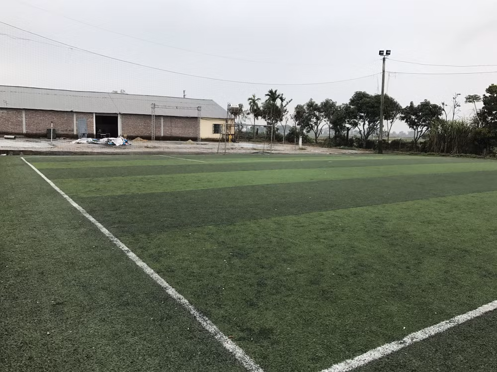 Sân bóng đá tại Trung tâm dạy nghề tư thục nhân đạo Minh Tâm cũng đang được cho thuê dịch vụ hàng ngày. Ảnh: Tùng Dương. Sân bóng đá tại Trung tâm dạy nghề tư thục nhân đạo Minh Tâm cũng đang được cho thuê dịch vụ hàng ngày. Ảnh: Tùng Dương.