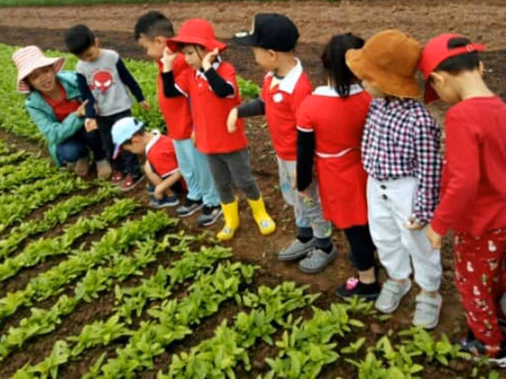 Các trẻ trong giờ học ngoại khóa. Ảnh minh họa - Nhân vật cung cấp.