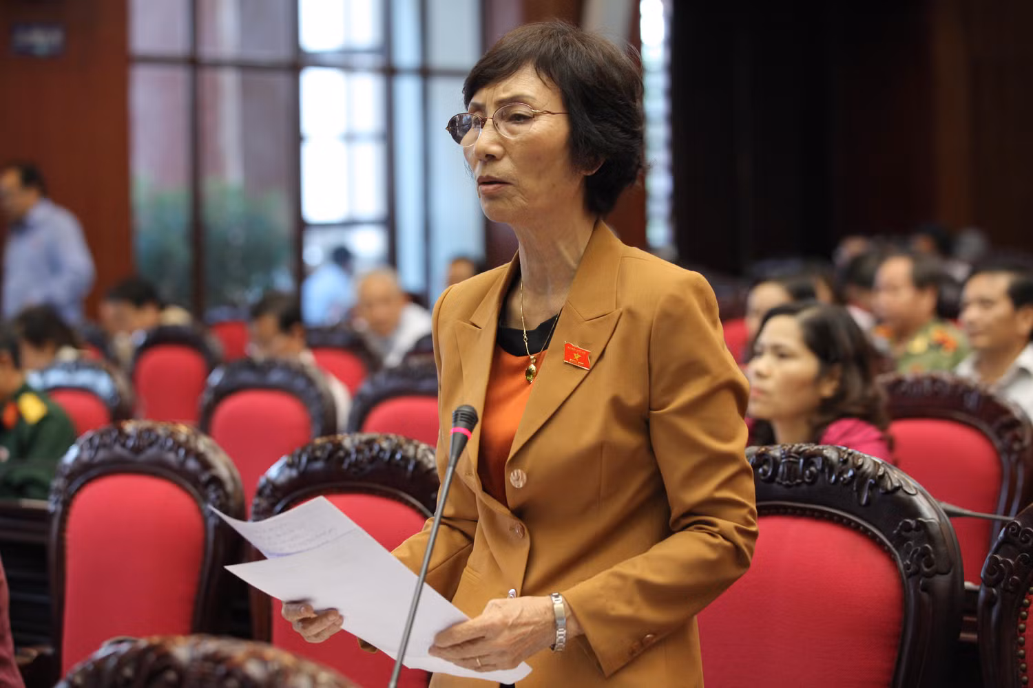 Bà Bùi Thị An, đại biểu Quốc hội khóa 13. Ảnh: Ngọc Thắng.