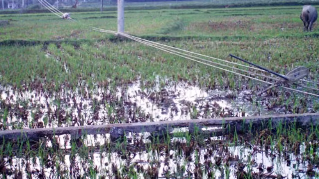 Trụ điện đỗ ngã do lốc xoáy tại huyện An Lão. Trụ điện đỗ ngã do lốc xoáy tại huyện An Lão.