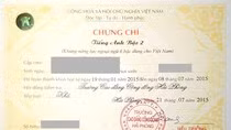 Danh tính, nơi công tác của các công chức đang bị công an Hải Phòng xem xét ảnh 4