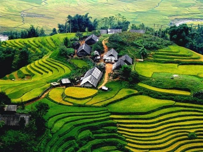 Ảnh minh họa: moit.gov.vn