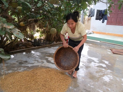 hàng ngàn hộ gia đình tại thị xã Hoàng Mai đã trắng tay sau lũ