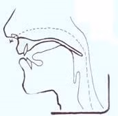 Hình 2