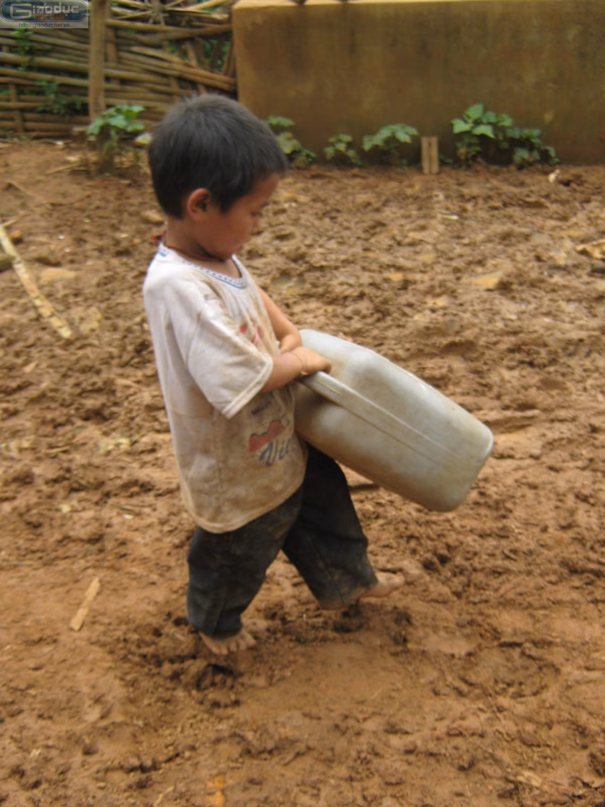 Lý A Lầu năm nay mới 5 tuổi… Lý A Lầu năm nay mới 5 tuổi…
