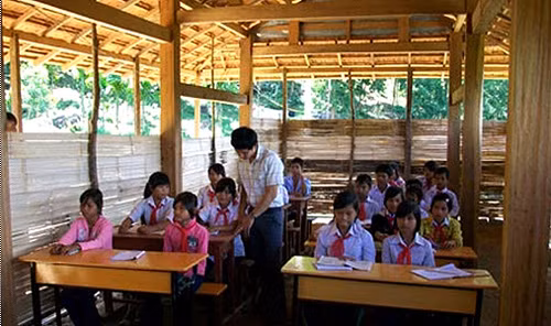 Chương trình giáo dục bây giờ giống như cái cây bị đục- đẽo- đắp nhiều chỗ ảnh 1 Chương trình giáo dục bây giờ giống như cái cây bị đục- đẽo- đắp nhiều chỗ ảnh 1