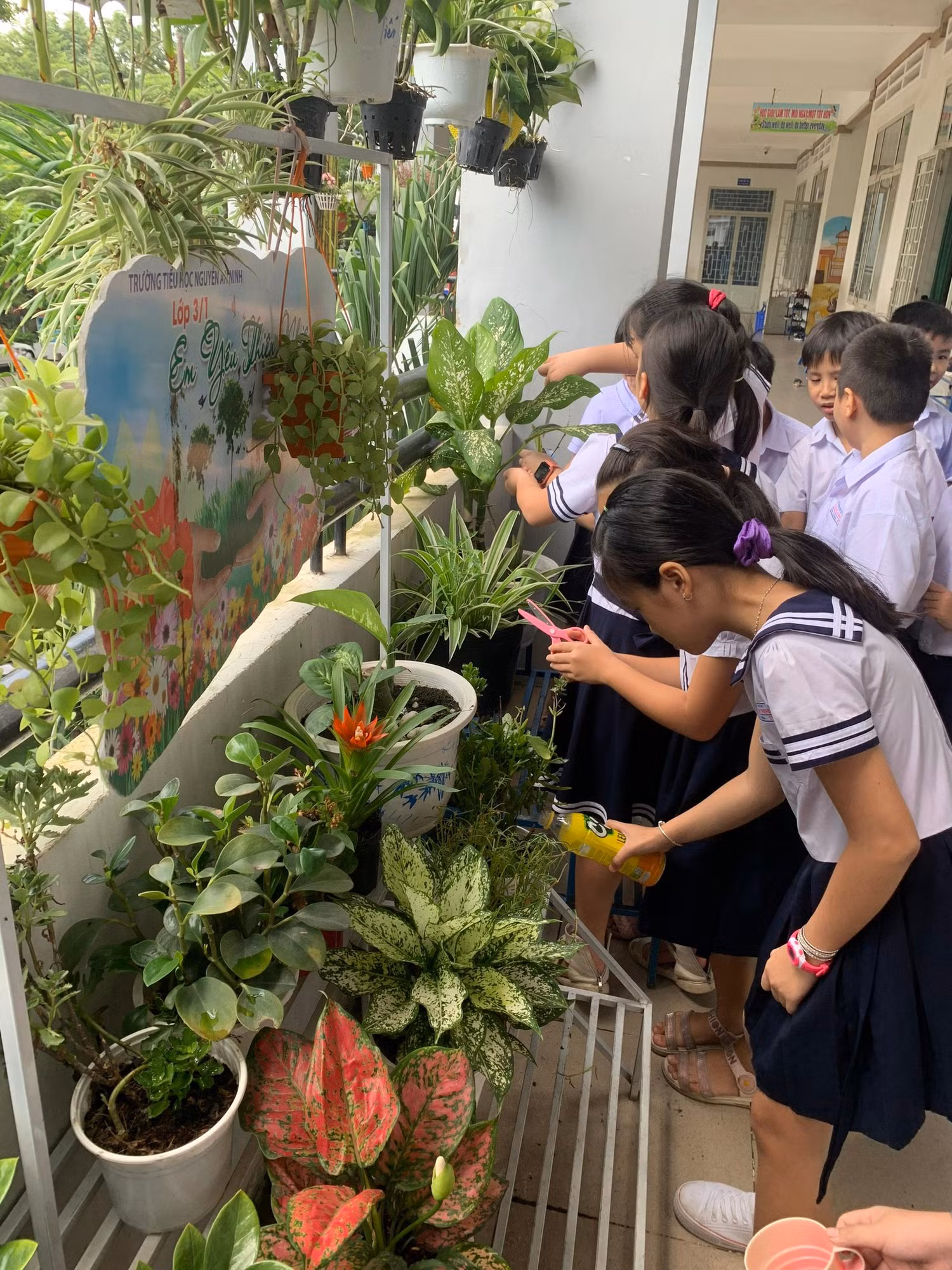 Học sinh tự chăm sóc cây kiểng. Ảnh: Hữu Đức