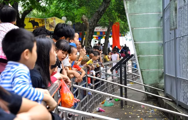 Vườn thú Hà Nội luôn là điểm đến hấp dẫn của các gia đình có con trẻ trong mỗi dịp nghỉ lễ. Các bé được trực tiếp được sống trong một thế giới động vật thu nhỏ.