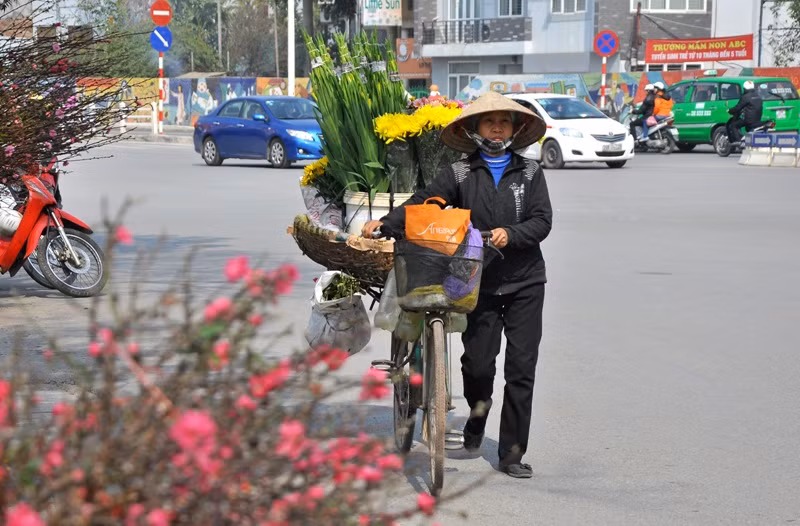 Không chỉ cành đào mà thị trường hoa trong dịp này cũng bán chạy bởi nhu cầu trang trí nhà cửa đón Tết của người dân. Không chỉ cành đào mà thị trường hoa trong dịp này cũng bán chạy bởi nhu cầu trang trí nhà cửa đón Tết của người dân.