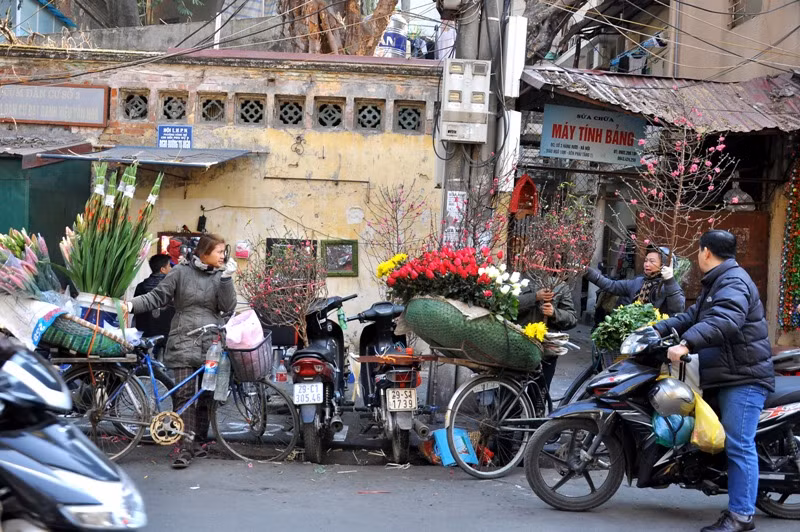 Nhộn nhịp thị trường hoa cảnh, đào cành gần Tết trên phố cổ. Nhộn nhịp thị trường hoa cảnh, đào cành gần Tết trên phố cổ.