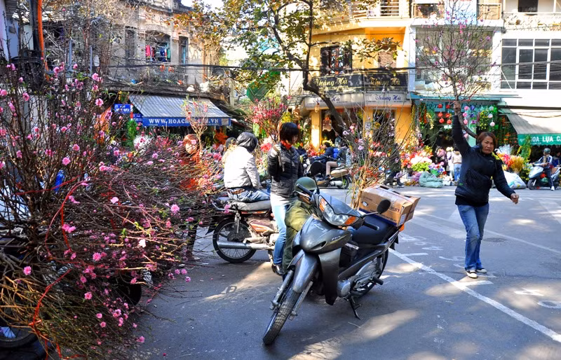 Góc phố Hàng Lược lại tấp nập không khí xuân. Góc phố Hàng Lược lại tấp nập không khí xuân.