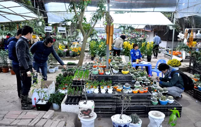 Vườn hoa sinh viên nằm trong khuôn viên trường ĐH Nông nghiệp và bán các sản phẩm nghiên cứu của sinh viên trong trường. Vườn hoa sinh viên nằm trong khuôn viên trường ĐH Nông nghiệp và bán các sản phẩm nghiên cứu của sinh viên trong trường.