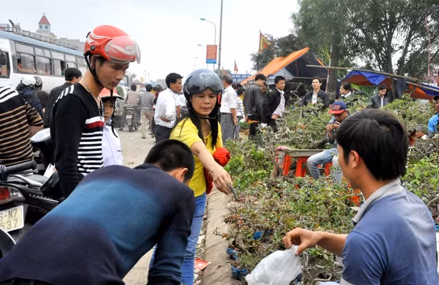 Phía bên ngoài đền, chợ Viềng vẫn sôi động cảnh mua người bán.