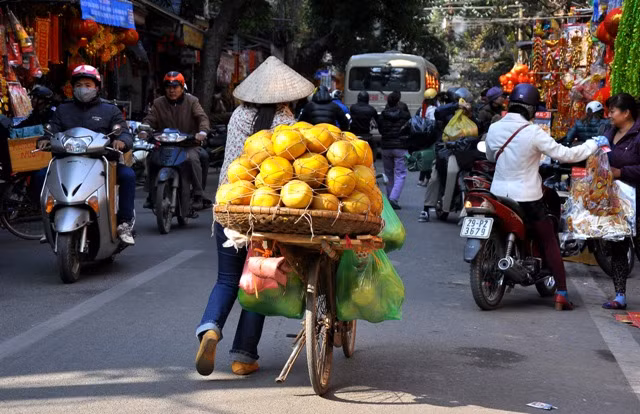 Bưởi Phú Diễn…