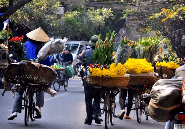 Trong những ngày áp Tết này, những “xe chở hoa di động” cũng luôn có mặt trên các con phố của Thủ đô.