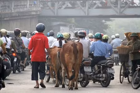 Đã tham gia giao thông là phải đội mũ bảo hiểm.