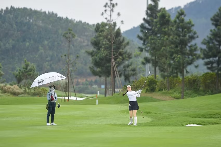 Các golfer tranh tài.