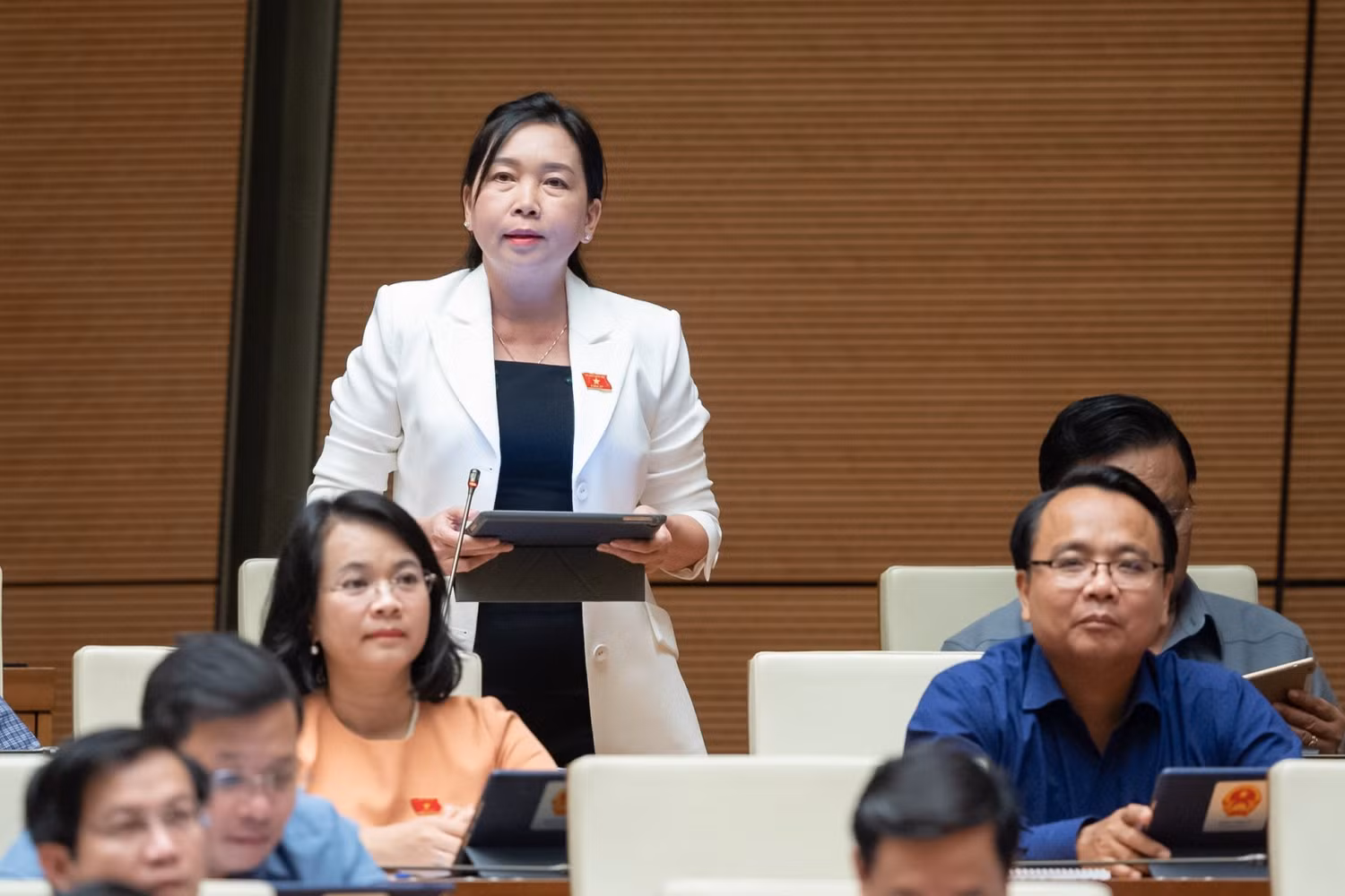 Đại biểu Lý Tiết Hạnh - Đoàn Đại biểu Quốc hội tỉnh Bình Định. Ảnh: quochoi.vn. Đại biểu Lý Tiết Hạnh - Đoàn Đại biểu Quốc hội tỉnh Bình Định. Ảnh: quochoi.vn.