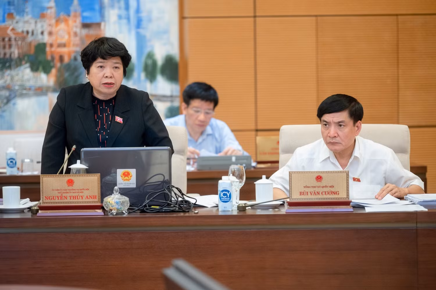 Chủ nhiệm Ủy ban Xã hội Nguyễn Thúy Anh phát biểu. Ảnh: quochoi.vn.