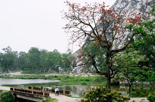 Bóng học trò ngang qua những gốc cây trải thảm đỏ.