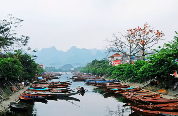 Suối Yến chùa Hương thơ mộng với sắc đỏ của hoa.