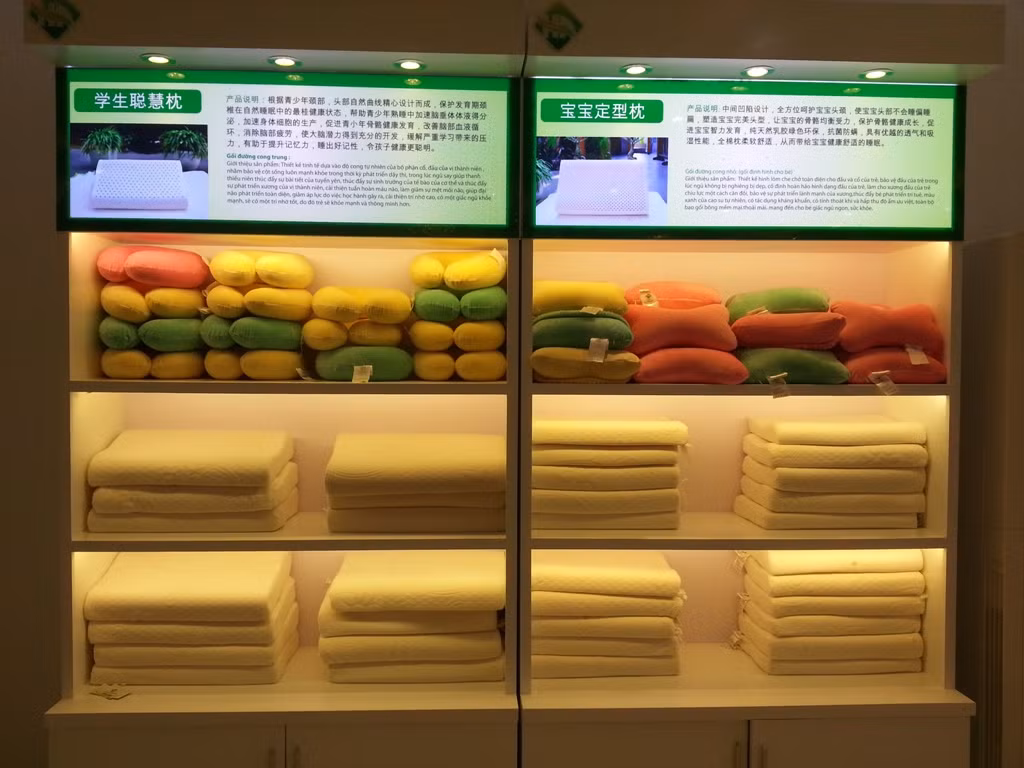 Tất cả các sản phẩm bên trong showroom này được trưng bày ngăn nắp và phụ đề giải thích toàn chữ Trung Quốc...