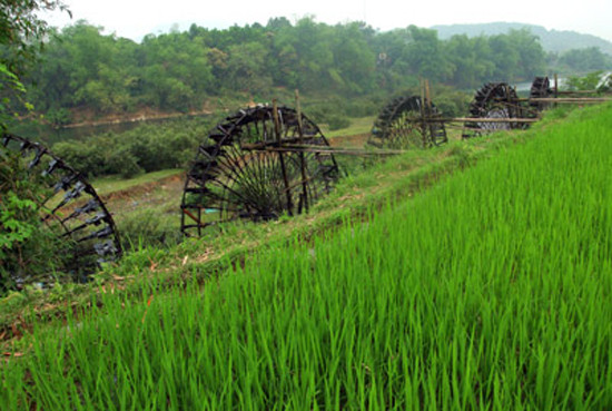 Không chỉ là một công cụ thủy lợi, một bản sắc văn hóa độc đáo, những chiếc cọn nước còn như một chứng nhân muôn đời của nền văn minh lúa nước khi con người tiến lên non cao (Ảnh: Internet).