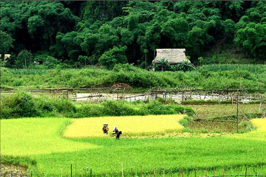 Chiếc cọn nước bên những mái nhà sàn như đã trở thành một biểu tượng văn hóa vùng cao (Ảnh: Internet).