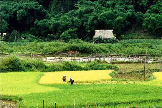Chiếc cọn nước bên những mái nhà sàn như đã trở thành một biểu tượng văn hóa vùng cao (Ảnh: Internet).