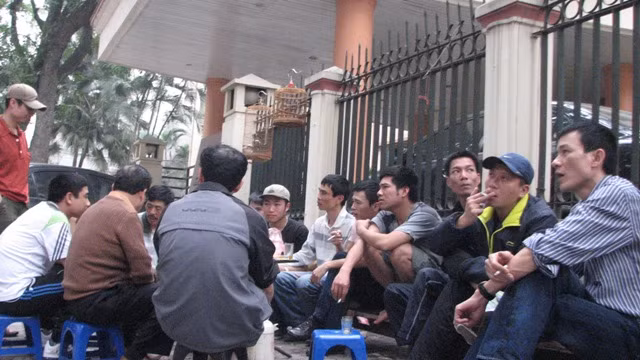 Những người có thú chơi mi đất Hà Thành thường đưa mi đi giao lưu vào cuối tuần