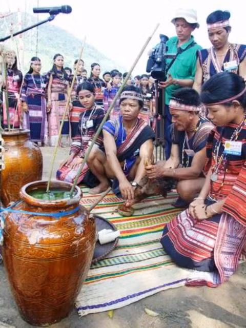 Cắt cổ gà lấy máu pha với rượu, bôi lên đầu và tay mừng một vụ mùa bội thu, cầu mong mưa thuận gió hoà cho vụ mùa mới- một phong tục của đồng bào Bana ở Vĩnh An