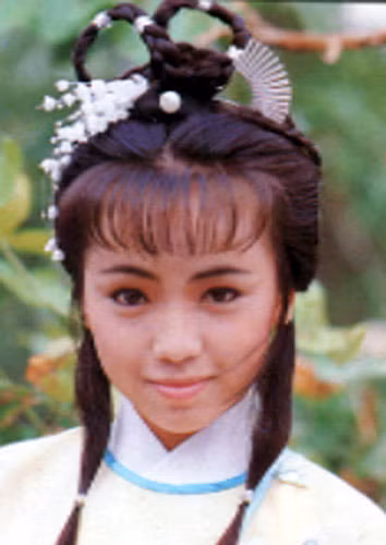 Nếu nói về vẻ đẹp của Đặng tuỵ Văn thì cô không đủ điểm cho vai Chu Chỉ Nhược, tuy nhiên, diễn xuất của cô đã mang đến dấu ấn cho nàng chưởng môn nhân (năm 1986).