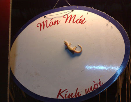 Món mới: Thạch sùng. Món mới: Thạch sùng.