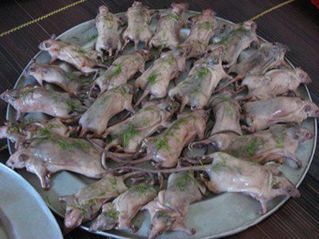 Thịt chuột nguyên con hấp lá chanh - món ăn chỉ có ở Việt Nam. Thịt chuột nguyên con hấp lá chanh - món ăn chỉ có ở Việt Nam.