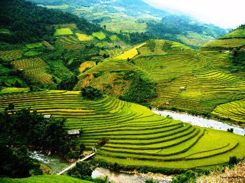 Cũng tại thửa ruộng vào tháng 10 đã tràn ngập sắc màu mơ ước.