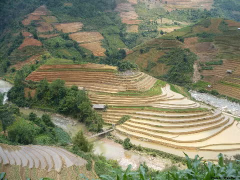 Vào tháng 5, mùa nước đổ cũng là lúc ruộng bậc thang thay áo mới để chuẩn bị cho mùa vụ mới.