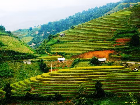 Ở Chế Cu Nha, quần thể bậc thang này đẹp đặc biệt.