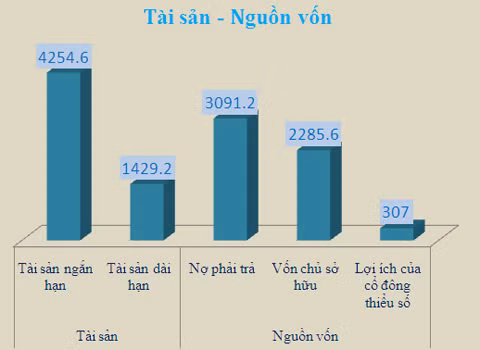 Đơn vị: Tỷ đồng. Đơn vị: Tỷ đồng.